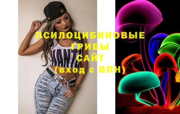 метадон Алексин