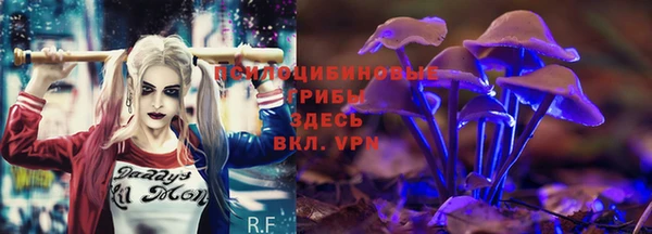 экстази Алзамай