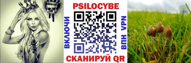 Псилоцибиновые грибы MAGIC MUSHROOMS  Заволжск 