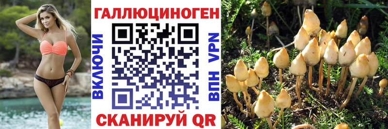 Псилоцибиновые грибы прущие грибы Заволжск